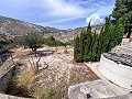 Wonderful Country House with Incredible Mountain Views in Petrer in Real Estate Alicante