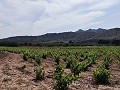 Schönes Landhaus mit 6 Schlafzimmern und 1 Bad in Yecla. in Real Estate Alicante