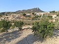 Prachtige villa met 3 slaapkamers en 2 badkamers in Fortuna. in Real Estate Alicante