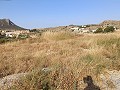 Prachtige villa met 3 slaapkamers en 2 badkamers in Fortuna. in Real Estate Alicante