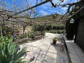 Bonita casa de campo in Real Estate Alicante
