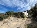Bonita casa de campo in Real Estate Alicante
