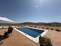 Stunning new build villas in Pinoso, Alicante in Real Estate Alicante