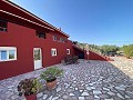 Wunderschöne Villa mit 5 Schlafzimmern und 4 Bädern in Encebras (Pinoso) mit wunderschöner Aussicht! in Real Estate Alicante
