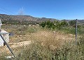 3 Bed 2 Bath Villa with 3 Bed 1 Bath Guest House in Salinas. in Real Estate Alicante