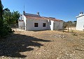 3 Bed 2 Bath Villa with 3 Bed 1 Bath Guest House in Salinas. in Real Estate Alicante