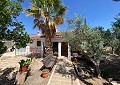 3 Bed 2 Bath Villa with 3 Bed 1 Bath Guest House in Salinas. in Real Estate Alicante