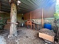 Grande maison de campagne avec piscine et annexe à Sax in Real Estate Alicante