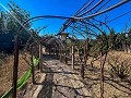 Grande maison de campagne avec piscine et annexe à Sax in Real Estate Alicante