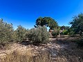 Grande maison de campagne avec piscine et annexe à Sax in Real Estate Alicante