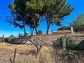 Grande maison de campagne avec piscine et annexe à Sax in Real Estate Alicante