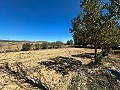 Spacious country house with 8 rooms to renovate in Yecla in Real Estate Alicante