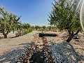 Superbes villas neuves  in Real Estate Alicante