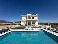 Prachtige villa met 3 slaapkamers en 3 badkamers in Pinoso (sleutelklaar). in Real Estate Alicante