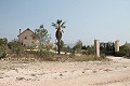 Prachtige authentieke Spaanse finca met 4 slaapkamers, 2 badkamers en gastenverblijf in Pinoso. in Real Estate Alicante