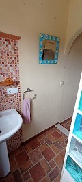 Prachtige authentieke Spaanse finca met 4 slaapkamers, 2 badkamers en gastenverblijf in Pinoso. in Real Estate Alicante