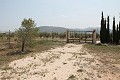 Prachtige authentieke Spaanse finca met 4 slaapkamers, 2 badkamers en gastenverblijf in Pinoso. in Real Estate Alicante