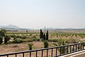 Prachtige authentieke Spaanse finca met 4 slaapkamers, 2 badkamers en gastenverblijf in Pinoso. in Real Estate Alicante