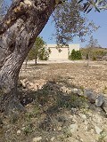 Prachtige authentieke Spaanse finca met 4 slaapkamers, 2 badkamers en gastenverblijf in Pinoso. in Real Estate Alicante