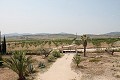 Prachtige authentieke Spaanse finca met 4 slaapkamers, 2 badkamers en gastenverblijf in Pinoso. in Real Estate Alicante