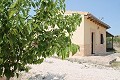 Prachtige authentieke Spaanse finca met 4 slaapkamers, 2 badkamers en gastenverblijf in Pinoso. in Real Estate Alicante