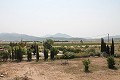 Prachtige authentieke Spaanse finca met 4 slaapkamers, 2 badkamers en gastenverblijf in Pinoso. in Real Estate Alicante