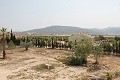 Prachtige authentieke Spaanse finca met 4 slaapkamers, 2 badkamers en gastenverblijf in Pinoso. in Real Estate Alicante