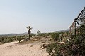 Prachtige authentieke Spaanse finca met 4 slaapkamers, 2 badkamers en gastenverblijf in Pinoso. in Real Estate Alicante