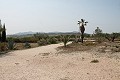 Prachtige authentieke Spaanse finca met 4 slaapkamers, 2 badkamers en gastenverblijf in Pinoso. in Real Estate Alicante