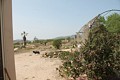 Prachtige authentieke Spaanse finca met 4 slaapkamers, 2 badkamers en gastenverblijf in Pinoso. in Real Estate Alicante