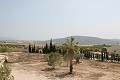 Prachtige authentieke Spaanse finca met 4 slaapkamers, 2 badkamers en gastenverblijf in Pinoso. in Real Estate Alicante