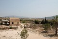 Prachtige authentieke Spaanse finca met 4 slaapkamers, 2 badkamers en gastenverblijf in Pinoso. in Real Estate Alicante