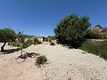 Atemberaubendes Landhaus in Real Estate Alicante