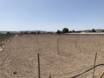Terrain à bâtir entre Novelda et Monforte Del Cid