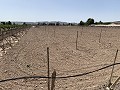 Terrain à bâtir entre Novelda et Monforte Del Cid in Real Estate Alicante