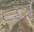 Prachtige nieuwbouwvilla inclusief perceel en zwembad in Jumilla. in Real Estate Alicante