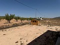 Schöne Villa mit 3 Schlafzimmern und 2 Bädern in Pinoso. in Real Estate Alicante
