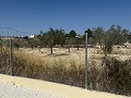 Prachtig gerenoveerde villa met 3 slaapkamers, 2 badkamers en zwembad in Fortuna. in Real Estate Alicante