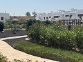 Schönes Apartment mit 2 Schlafzimmern und 2 Bädern in Vistabella Golf Los Montesinos. in Real Estate Alicante