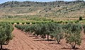 Charming 13 bedroom 3 bathroom Country House in Encebras. in Real Estate Alicante