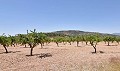 Charming 13 bedroom 3 bathroom Country House in Encebras. in Real Estate Alicante