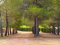 Charming 13 bedroom 3 bathroom Country House in Encebras. in Real Estate Alicante