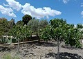 Fabelhafte 4-Bett-Villa mit eigenständigem Gästehaus in Sax in Real Estate Alicante