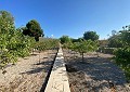 Fabelhafte 4-Bett-Villa mit eigenständigem Gästehaus in Sax in Real Estate Alicante