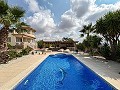 Belle villa de 5 chambres et 4 salles de bain à Pinoso. in Real Estate Alicante