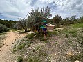 Spirituele retraite in Sax met eindeloze mogelijkheden in Real Estate Alicante