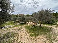 Spirituele retraite in Sax met eindeloze mogelijkheden in Real Estate Alicante