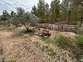Spirituele retraite in Sax met eindeloze mogelijkheden in Real Estate Alicante