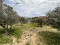 Spirituele retraite in Sax met eindeloze mogelijkheden in Real Estate Alicante