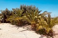 Villa española bellamente renovada en venta en Albatera in Real Estate Alicante